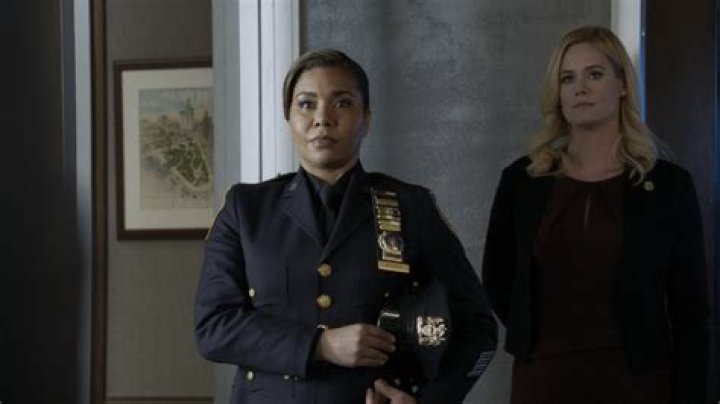 Abigail Hawk Blue Bloods Salary: An Inside Look at Her Earnings and Career