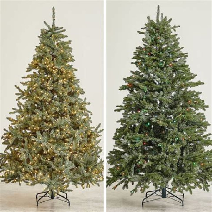 Balsam Hill Christmas Trees Clearance: The Ultimate Guide to Finding Your Perfect Holiday Tree