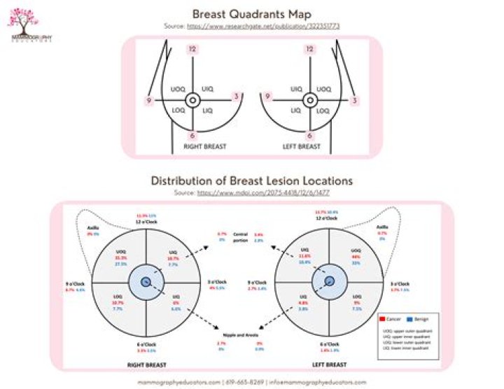 Discovering Boobpedia: The Ultimate Resource for Breast and Body Enthusiasts