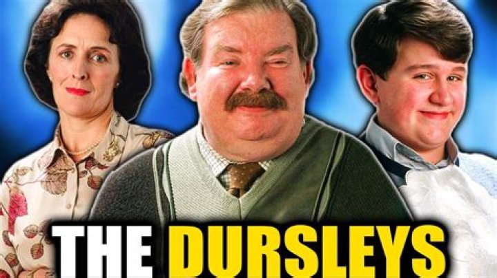 Dudley Dursley: The Life and Times of Harry Potter's Cousin