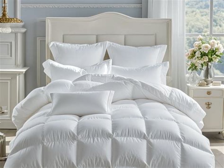 Everything You Need to Know About Goose Down Pillows
