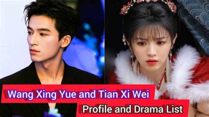 Exploring the Dynamic Duo: Li Xian and Yang Zi