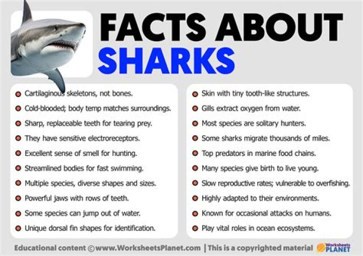 Get Your Feet Fit for Adventure: Discover the Amazing Shark Tank Wellingtons