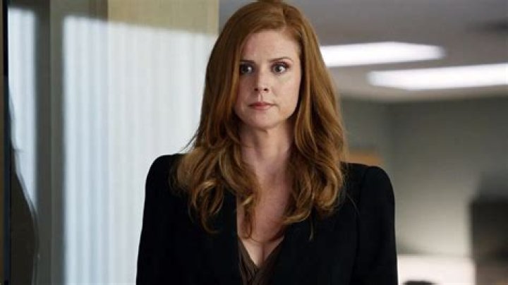 Introducing Donna Paulsen: The Intriguing Character from Suits