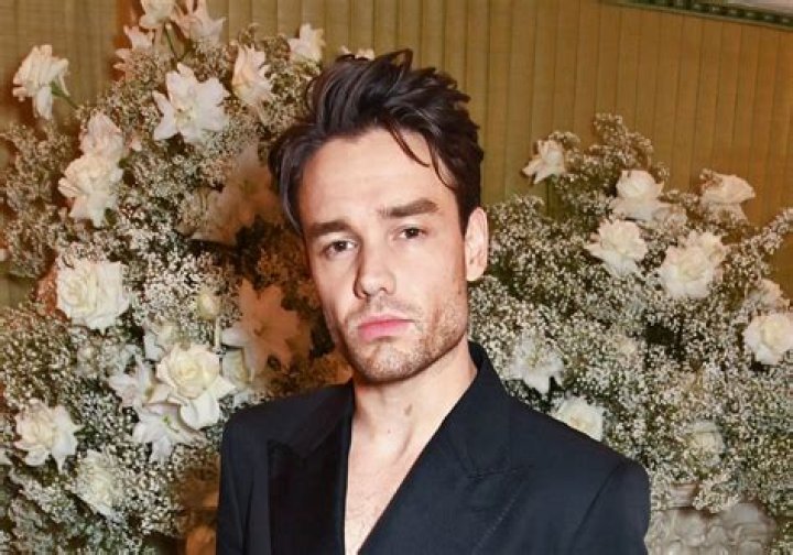 Liam Payne Larry: An In-Depth Exploration of a Phenomenon