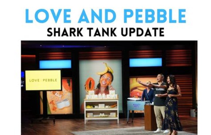 Love and Pebble Net Worth Shark Tank Update: A Comprehensive Insight