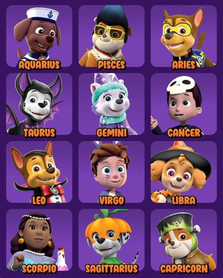 Names of Paw Patrol Dogs: A Comprehensive Guide