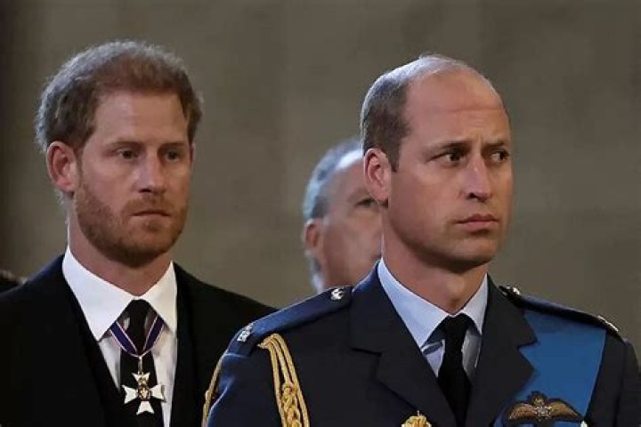 Prince Harry and Prince William Reportedly Want to Reconcile: A Deep Dive