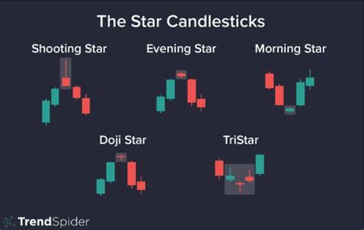 Star Vega: The Rising Star in the Entertainment Industry