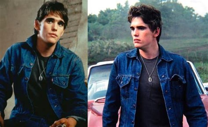 The Outsiders Book: Understanding Darry and His Role