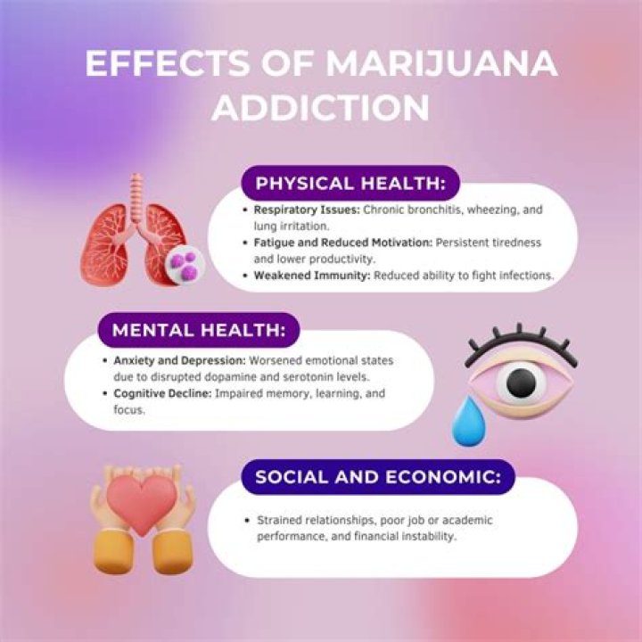 The Ultimate Guide: Can Marijuana Aid in Concussion Recovery?