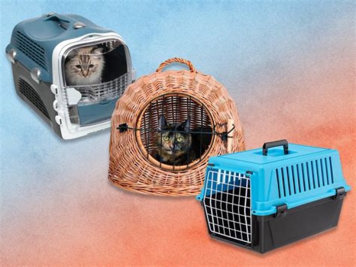 Ultimate Guide to Soft Cat Carriers: Comfort, Safety, and Convenience