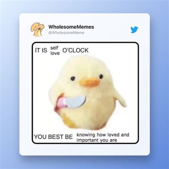 Understanding Clean Memes: The Joy and Humor of Wholesome Content