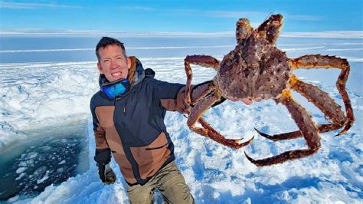 Understanding the Deadliest Catch: A Deep Dive into the World of Alaskan Crab Fishing