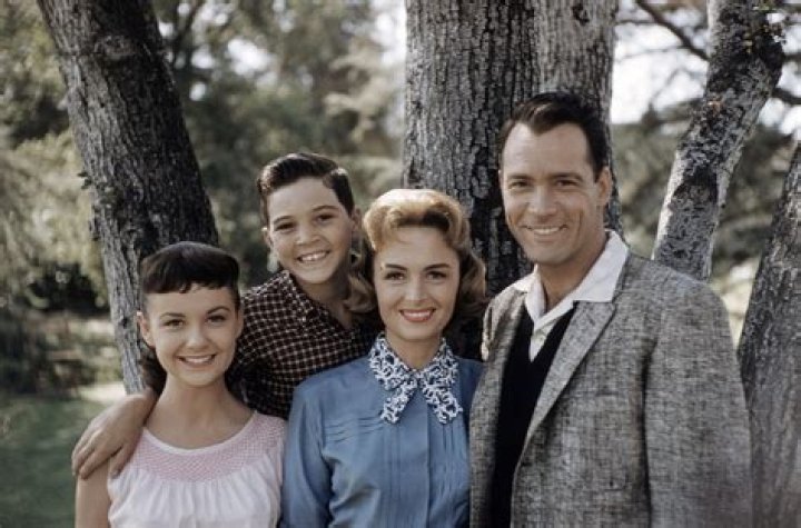 Unraveling the Enigma of Shelley Fabares: A Journey Through Time