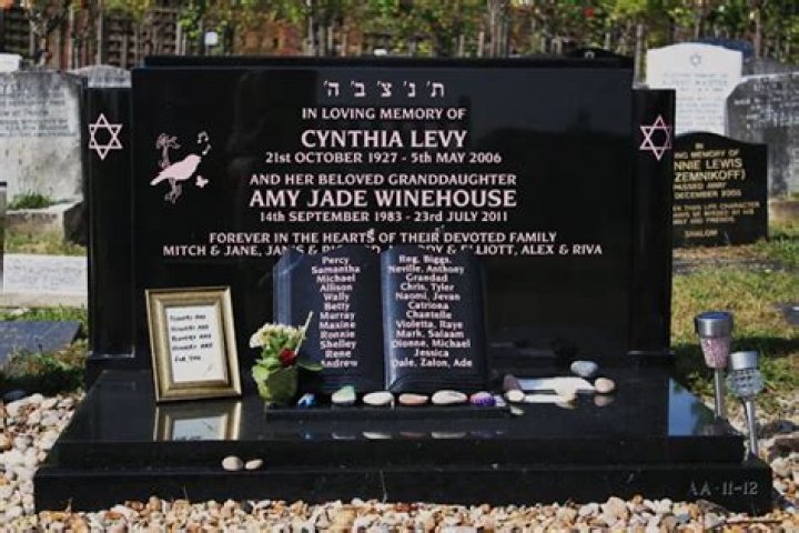Unveiling Cynthia Winehouse: A Journey Through Life and Legacy