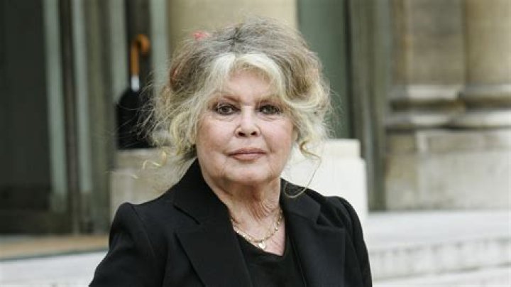 Unveiling the Life of Brigitte Bardot's Son in 2024