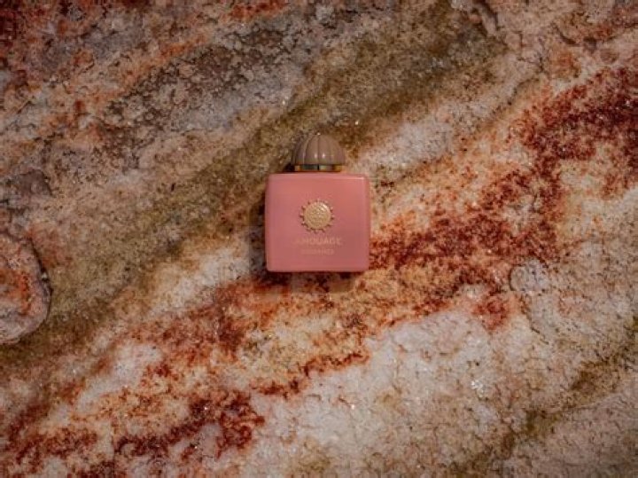 Unveiling the Mystique of XS: A Deep Dive into its Significance