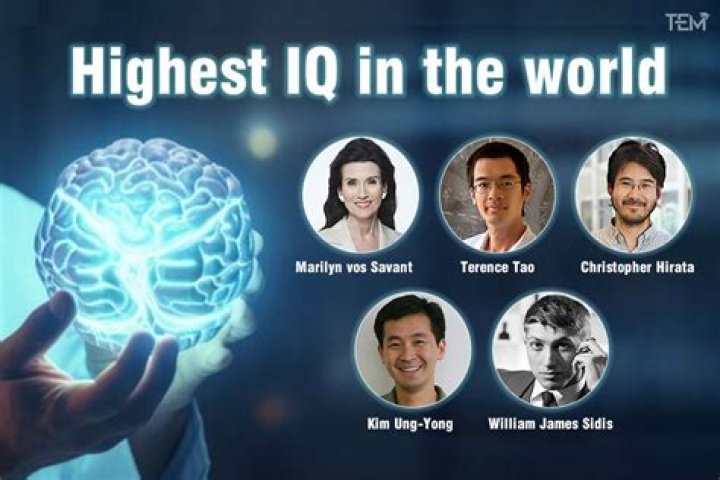 Who Has the Highest IQ? Exploring the Minds Behind Exceptional Intelligence