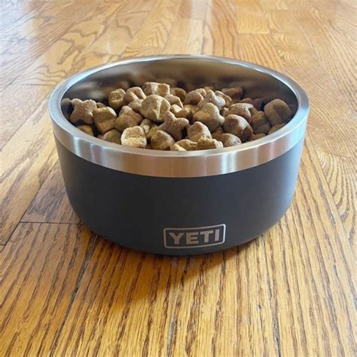 Yeti Dog Bowl: The Ultimate Choice for Pet Owners